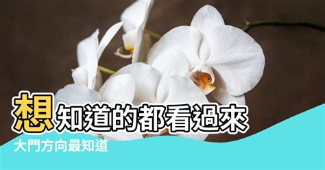 房屋風水|房屋方向風水指南：探索8大黃金方位朝向優缺點，找出適合您的。